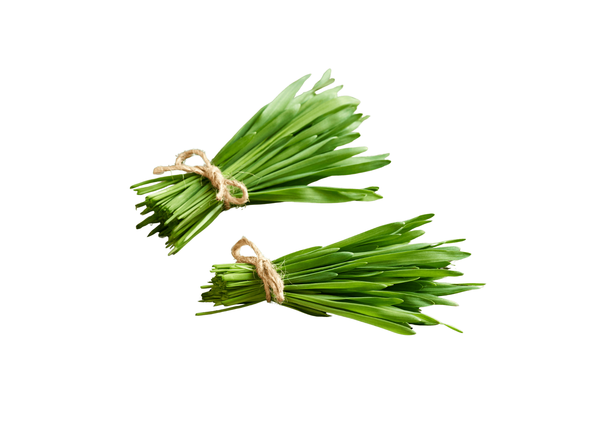 Barley Grass — ingredient in Primaldew Original