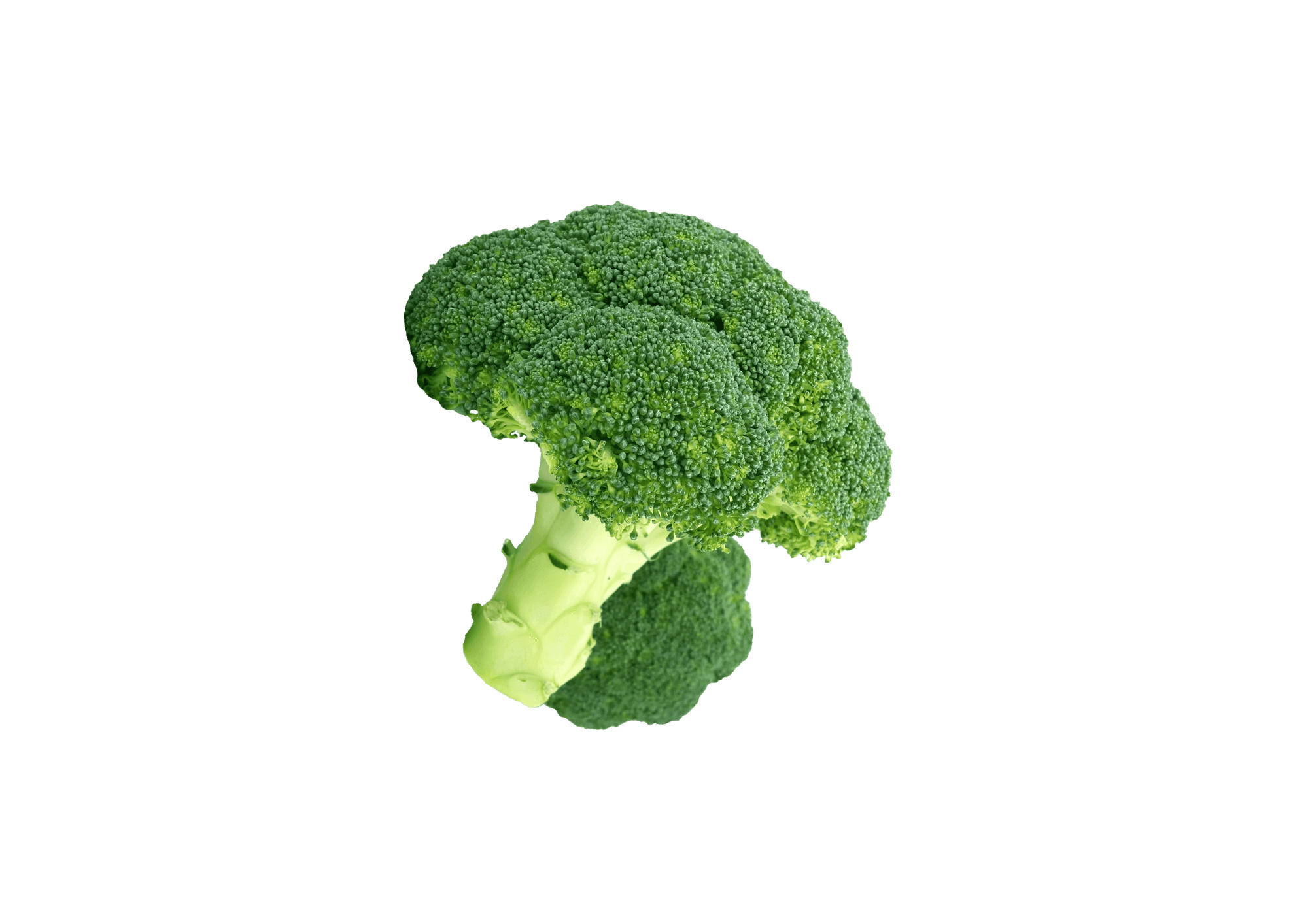 Broccoli — ingredient in Primaldew Original