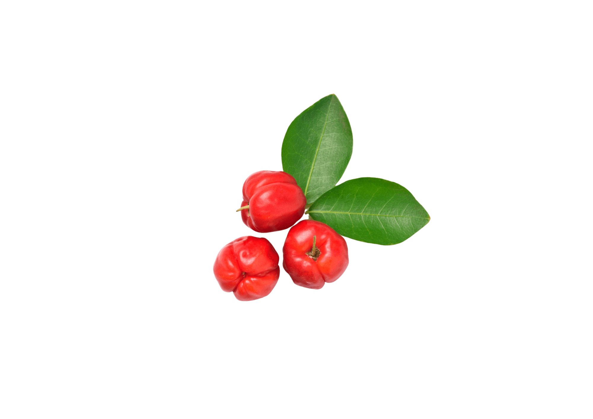 Camu Camu — ingredient in Primaldew Original