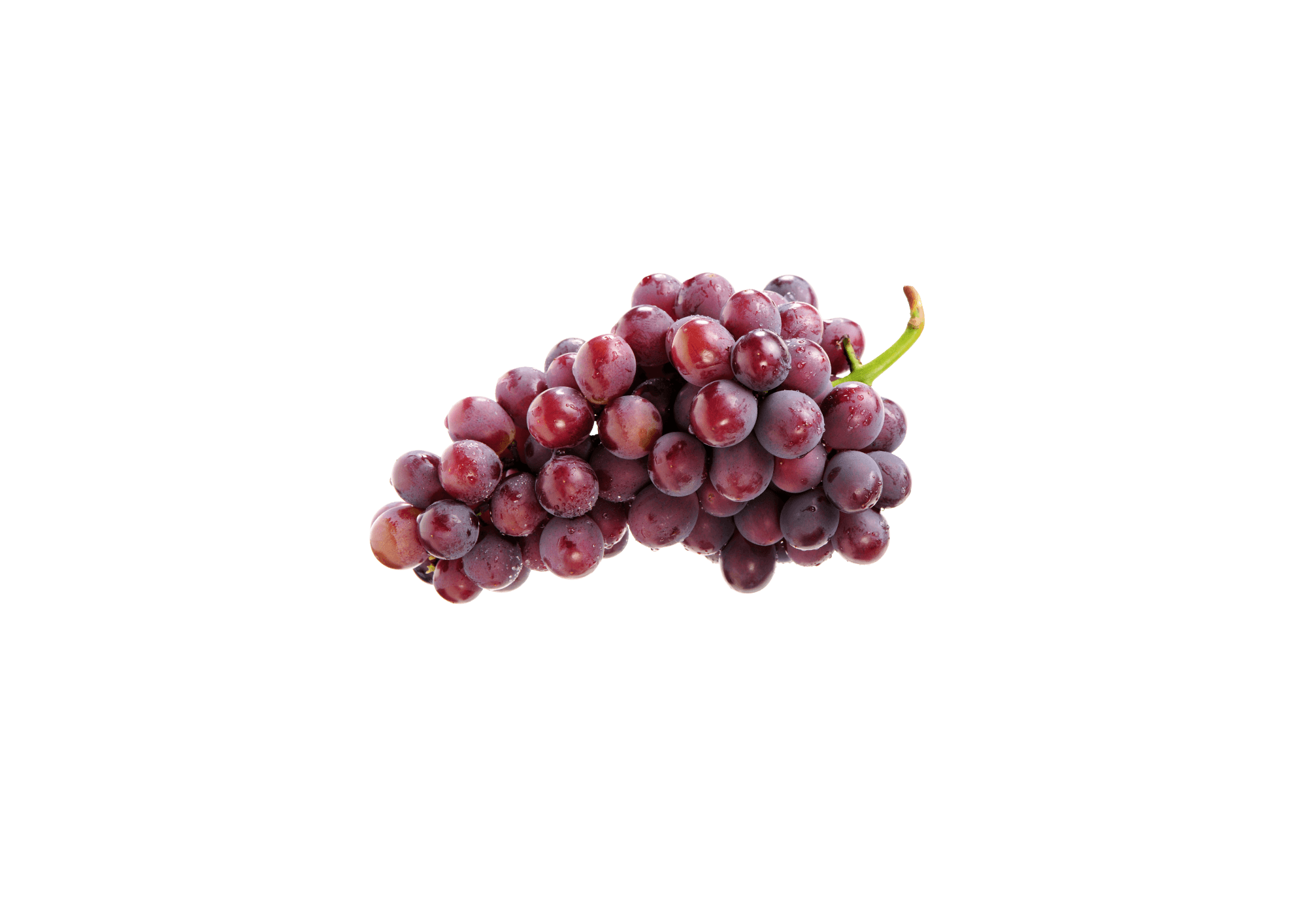 Grape Skin Extract — ingredient in Primaldew Original