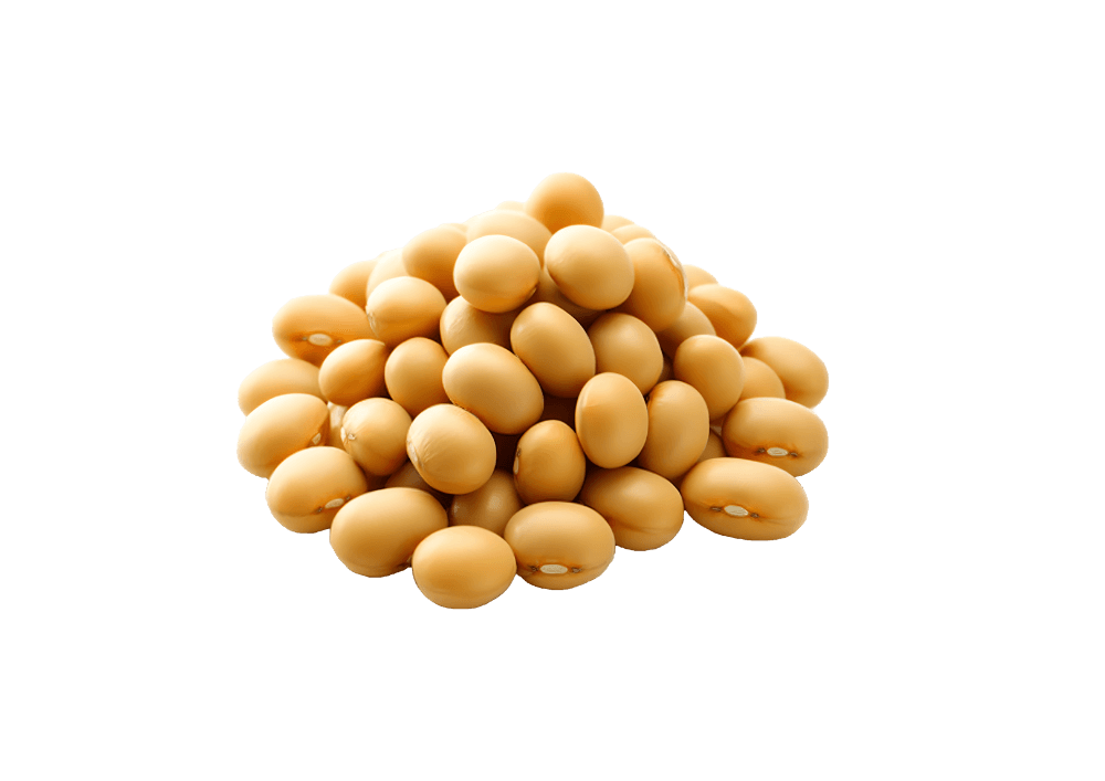 Soy Lecithin — ingredient in Primaldew Original